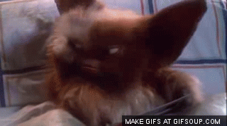 gremlins-eating-chicken-o